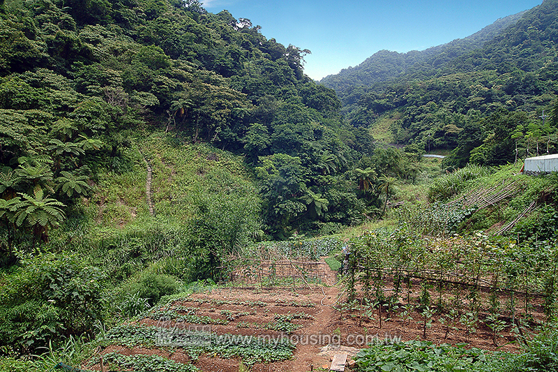 農業用地移轉申請 依法調整原地價